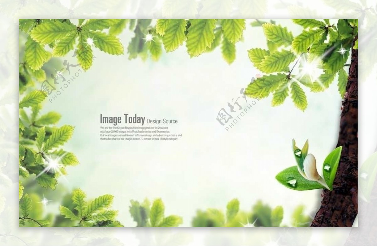 绿色清新自然植物素材图片