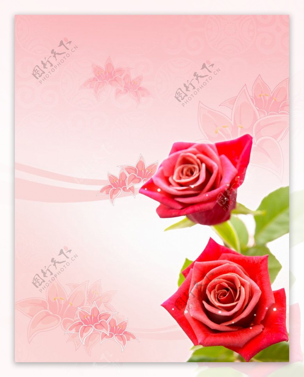 玫瑰花装饰背景psd素材图片