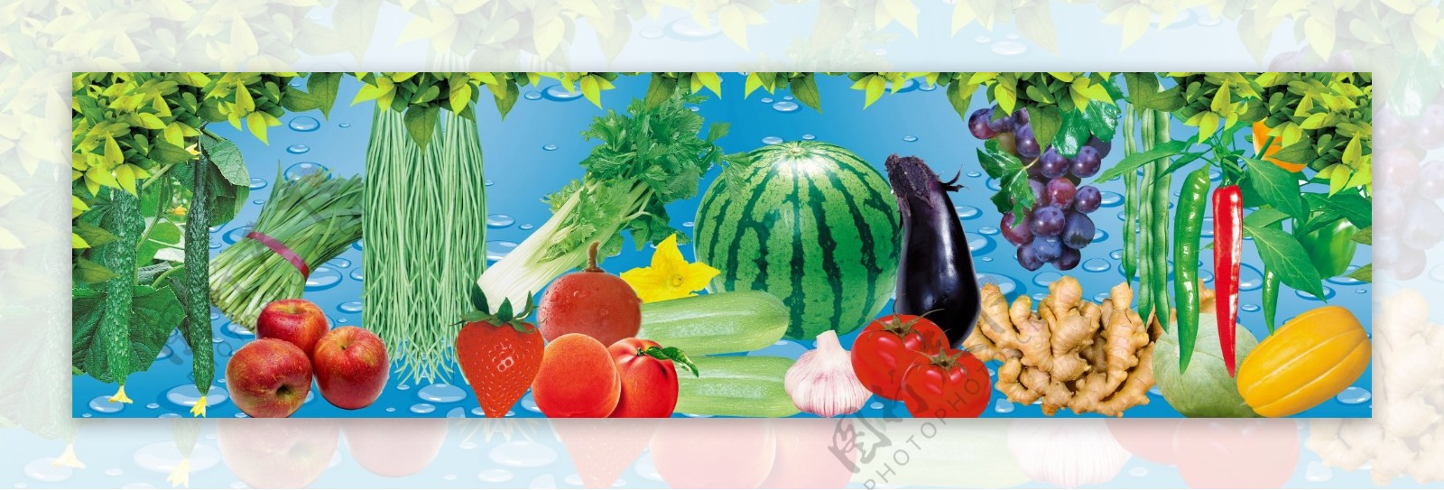 各种新鲜蔬菜水果图片