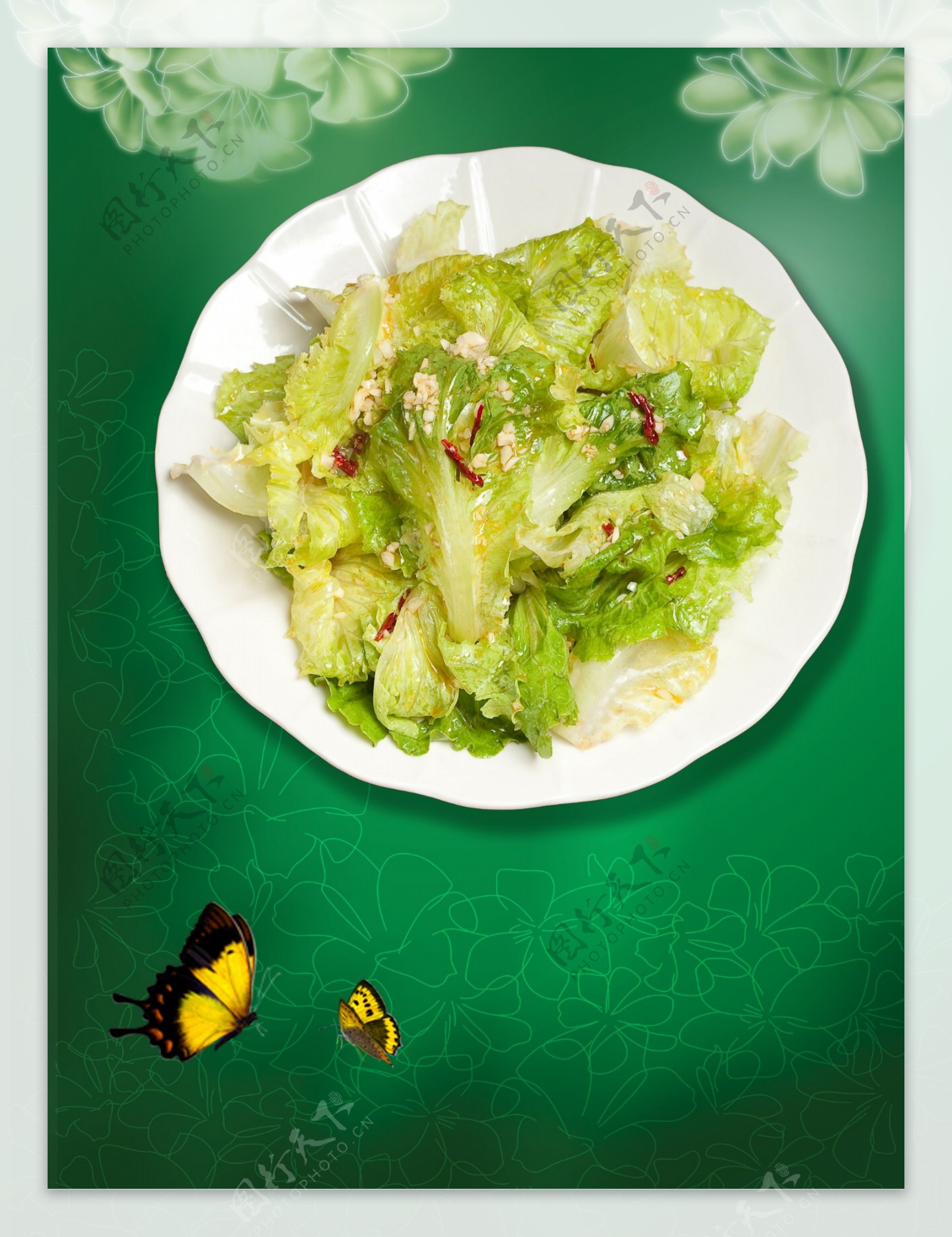 海报包菜蝴蝶图片