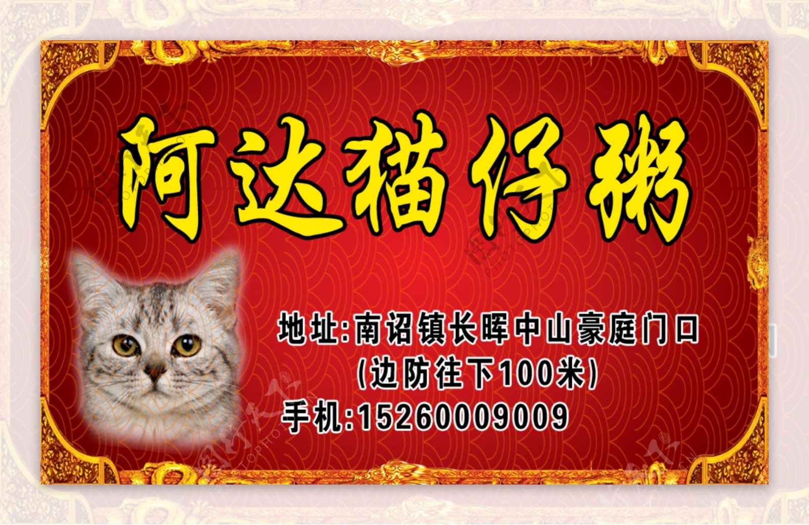 猫仔粥猫古典红色背景图片