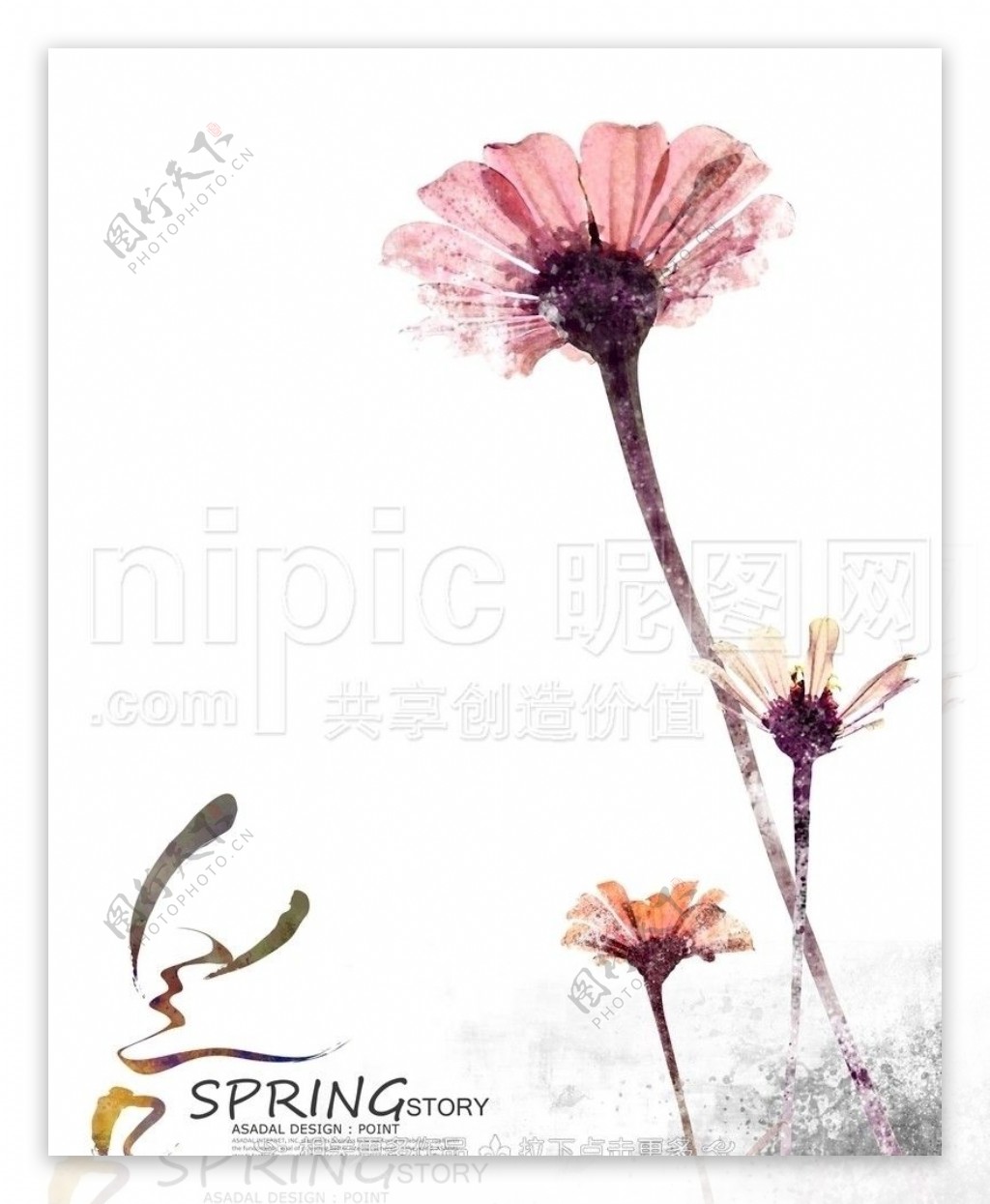 手绘菊花图片