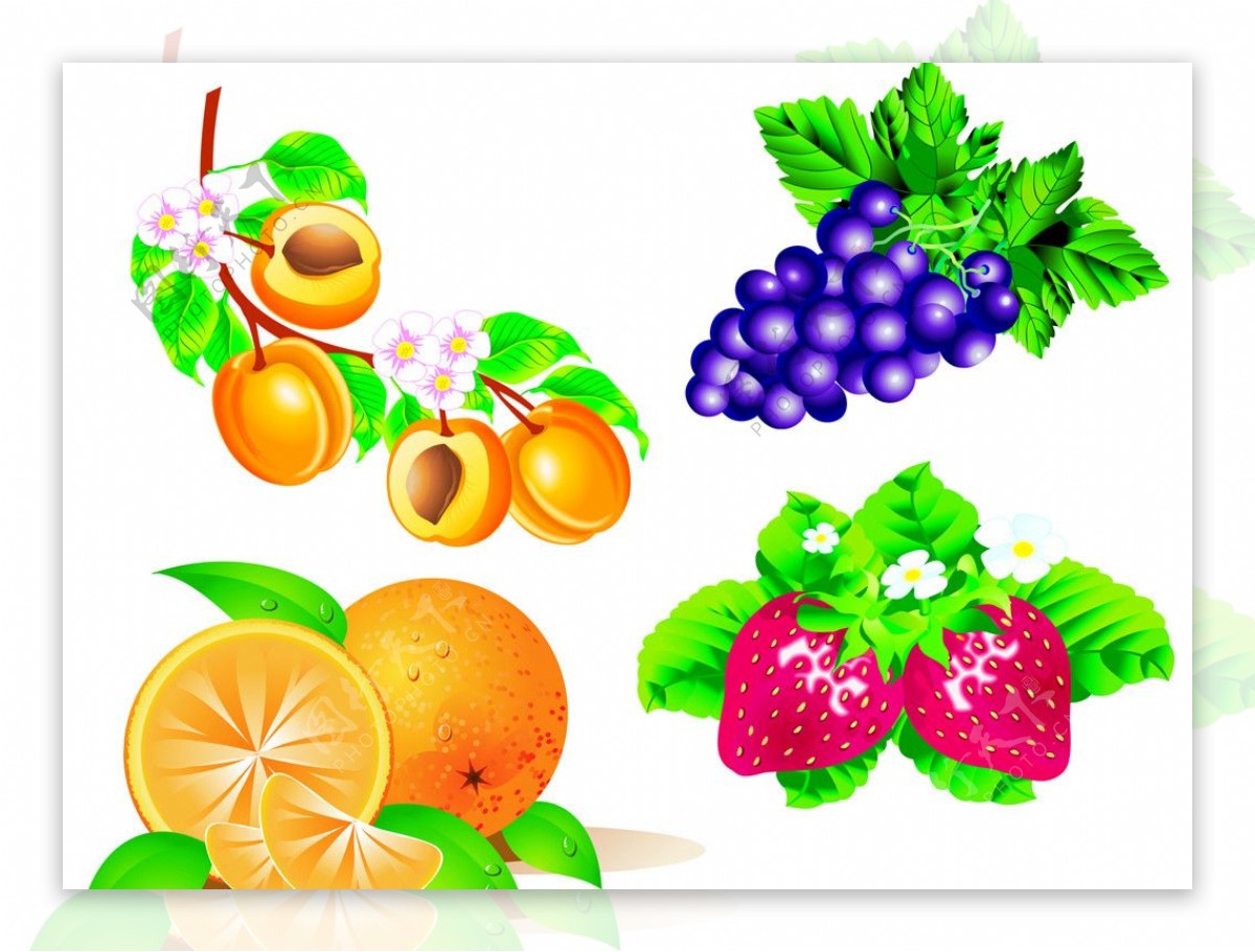 水果葡萄草莓桃橙子图片