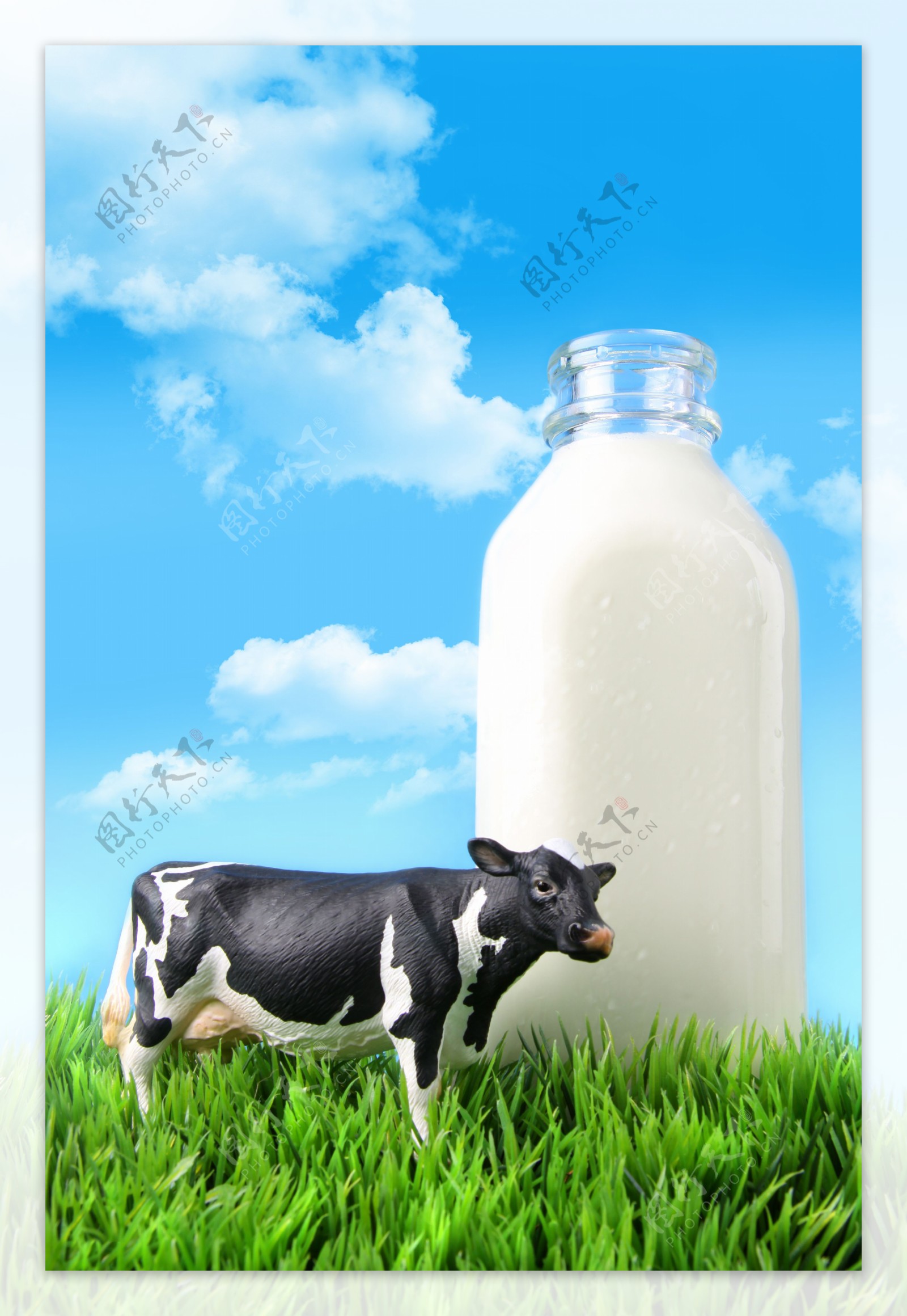 草原牛奶图片
