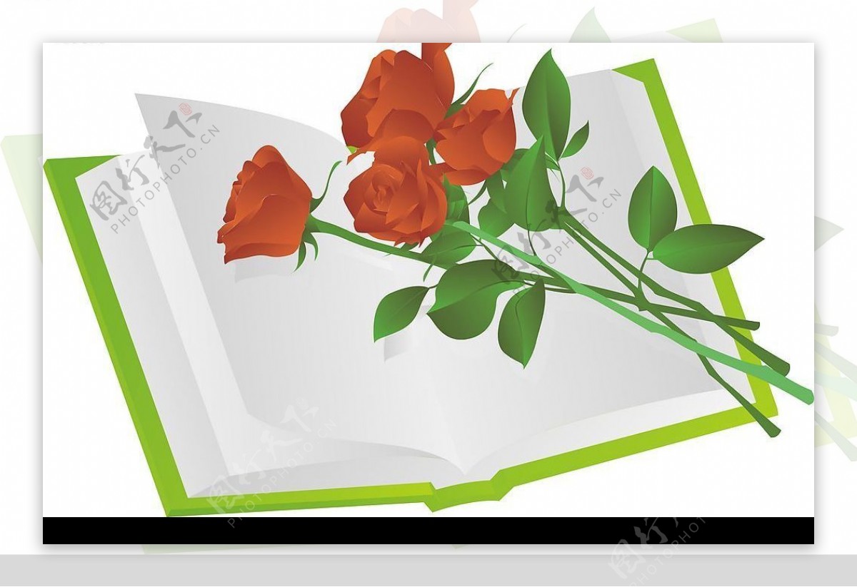 书与玫瑰花图片