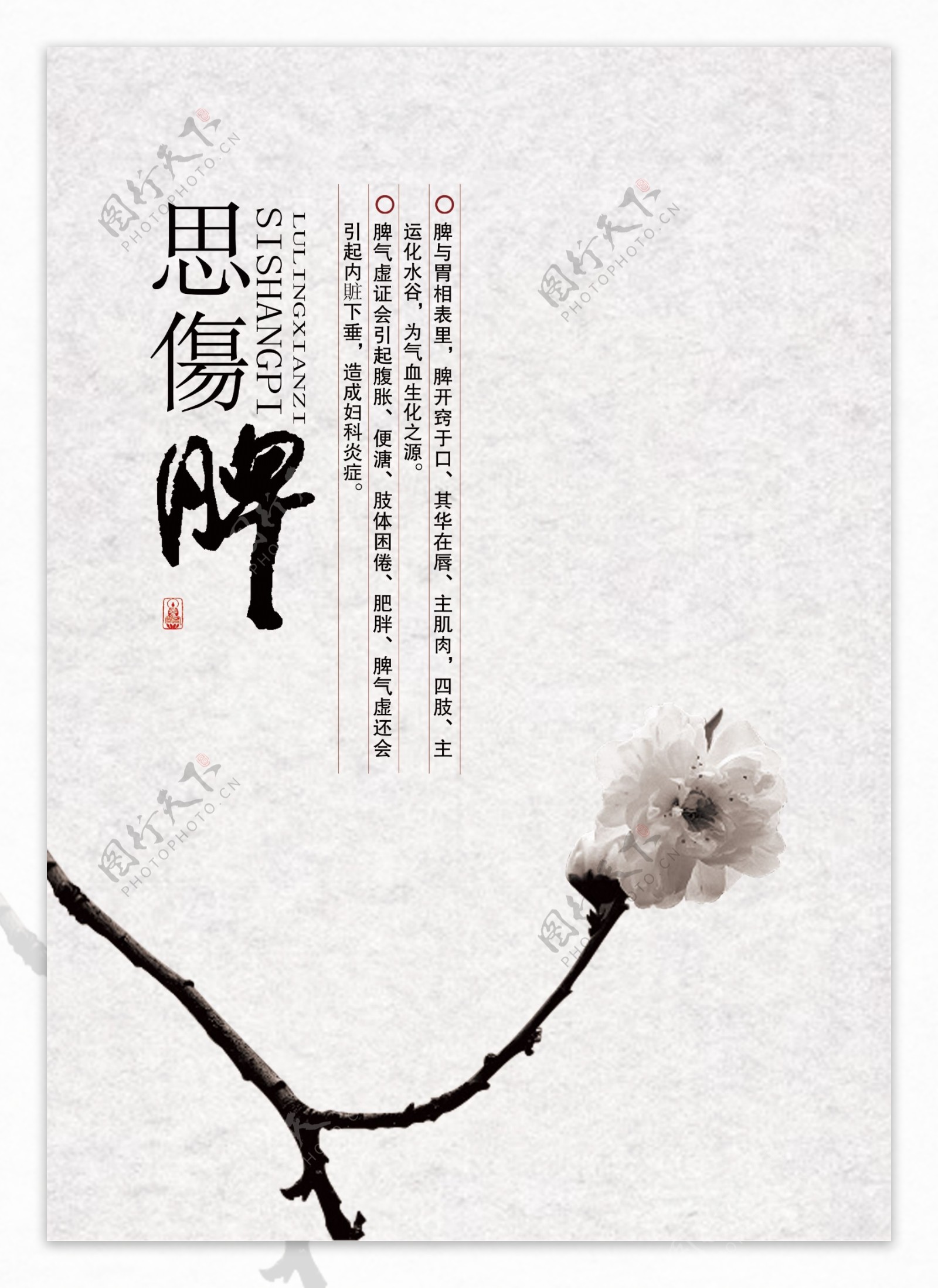 中式传统养生系列海报图片