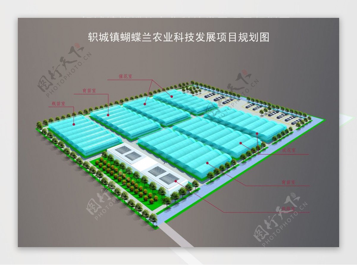 连栋温室大棚鸟瞰图图片