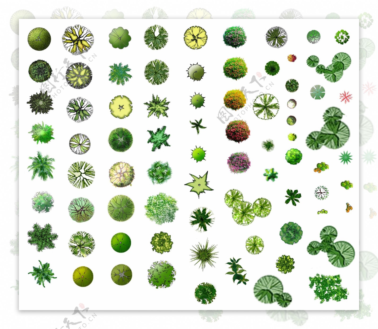 平面植物素材图片