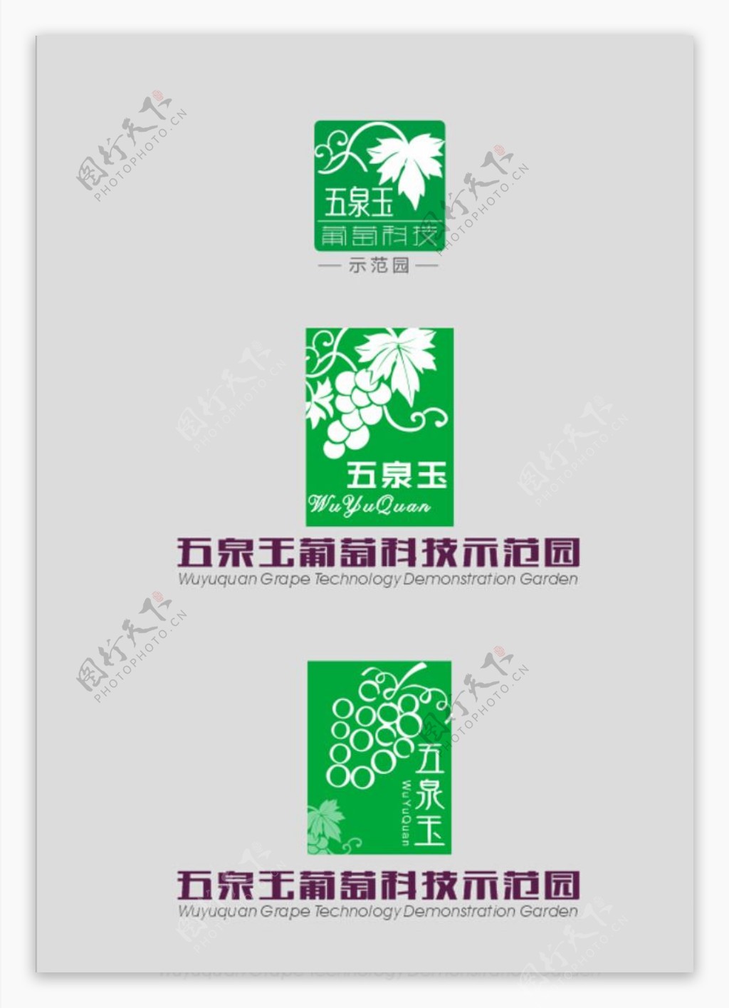 五玉泉logo图片