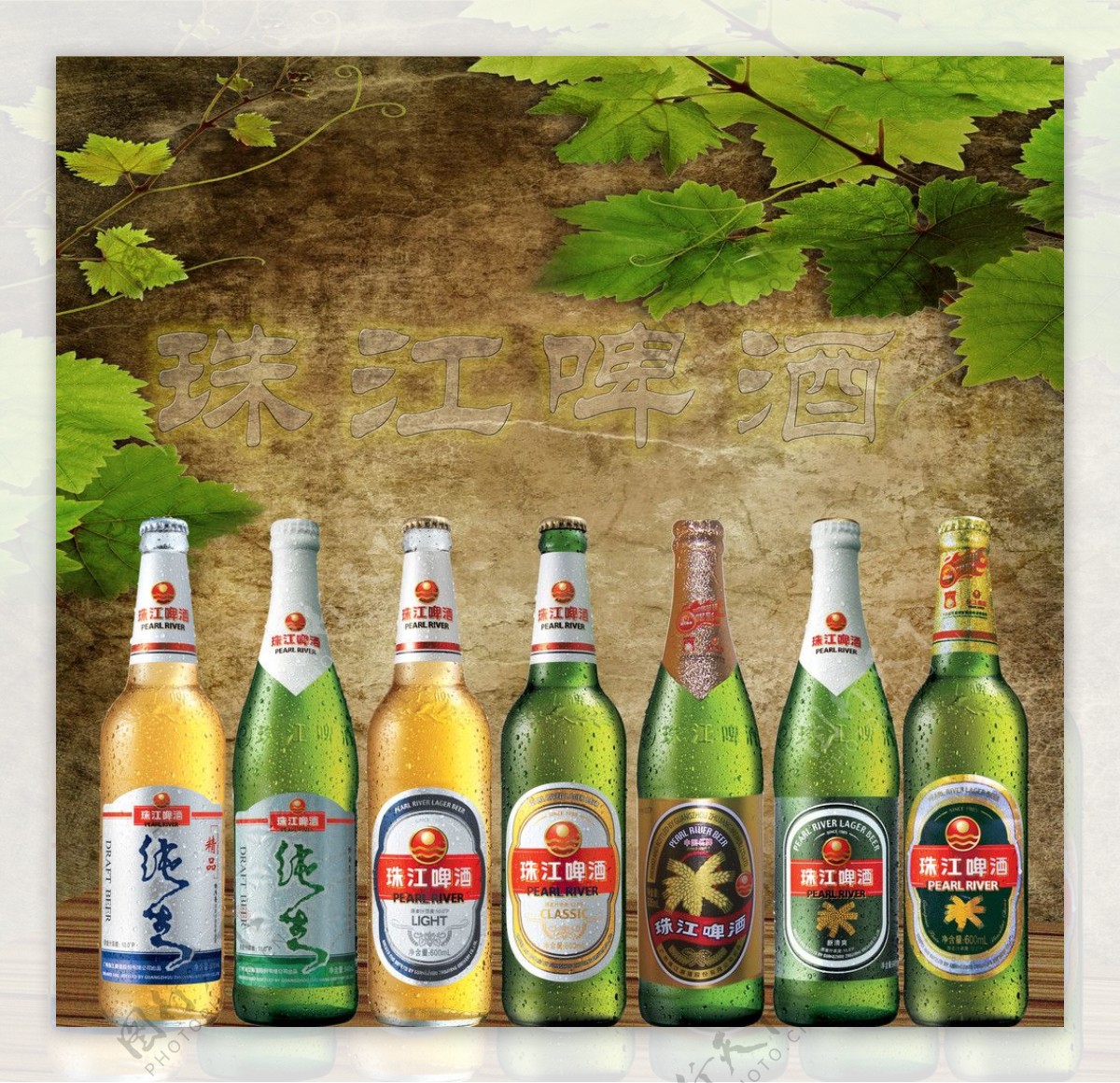 珠江六瓶啤酒图片