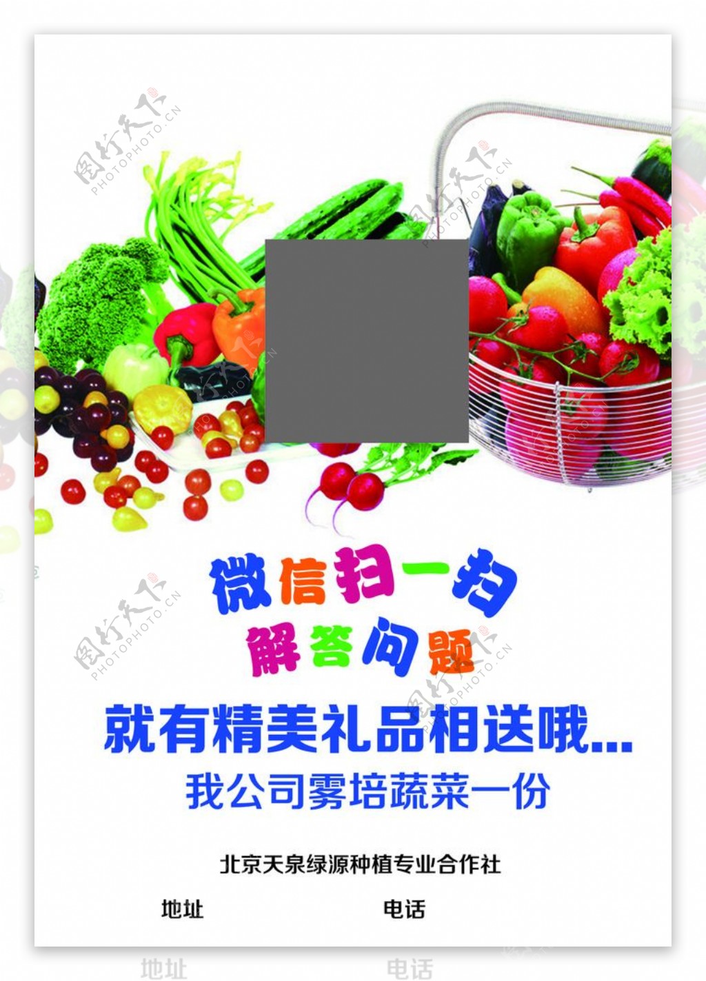 蔬菜宣传单图片