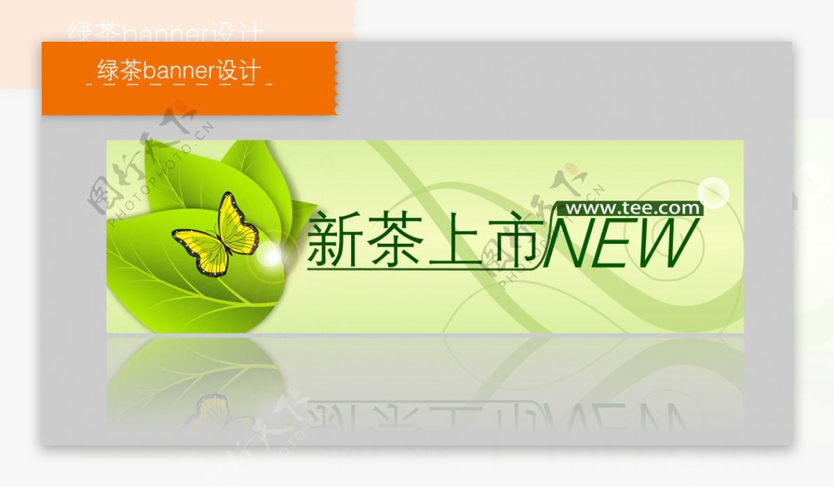 绿茶banner图片