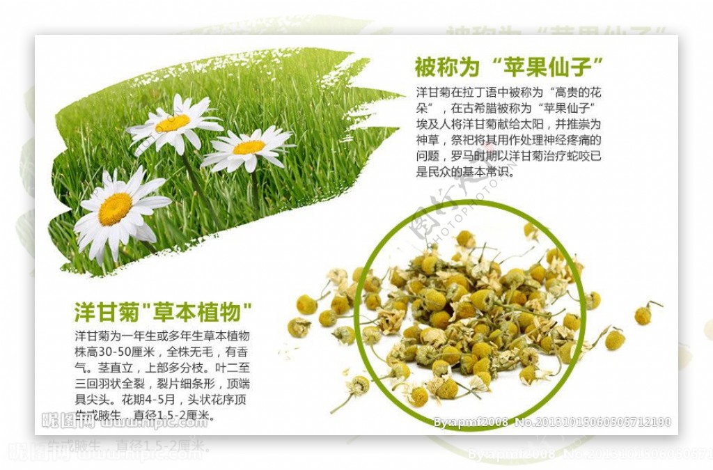 花茶淘宝页图片