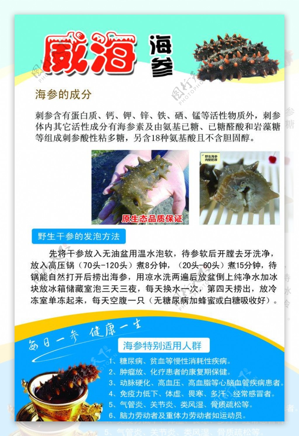 海参宣传单页图片