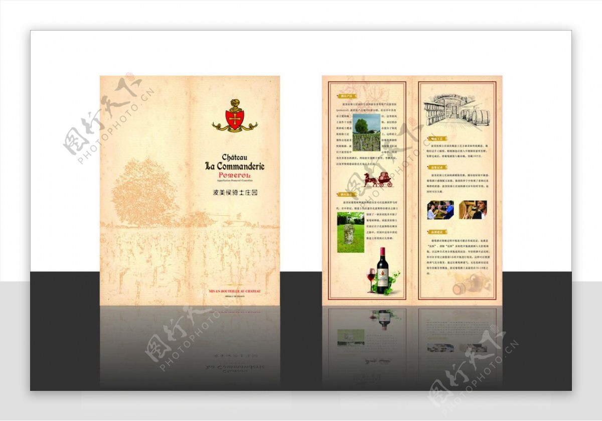 葡萄红酒折页宣传单张图片