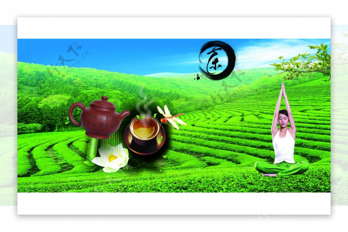 禅茶广告图片