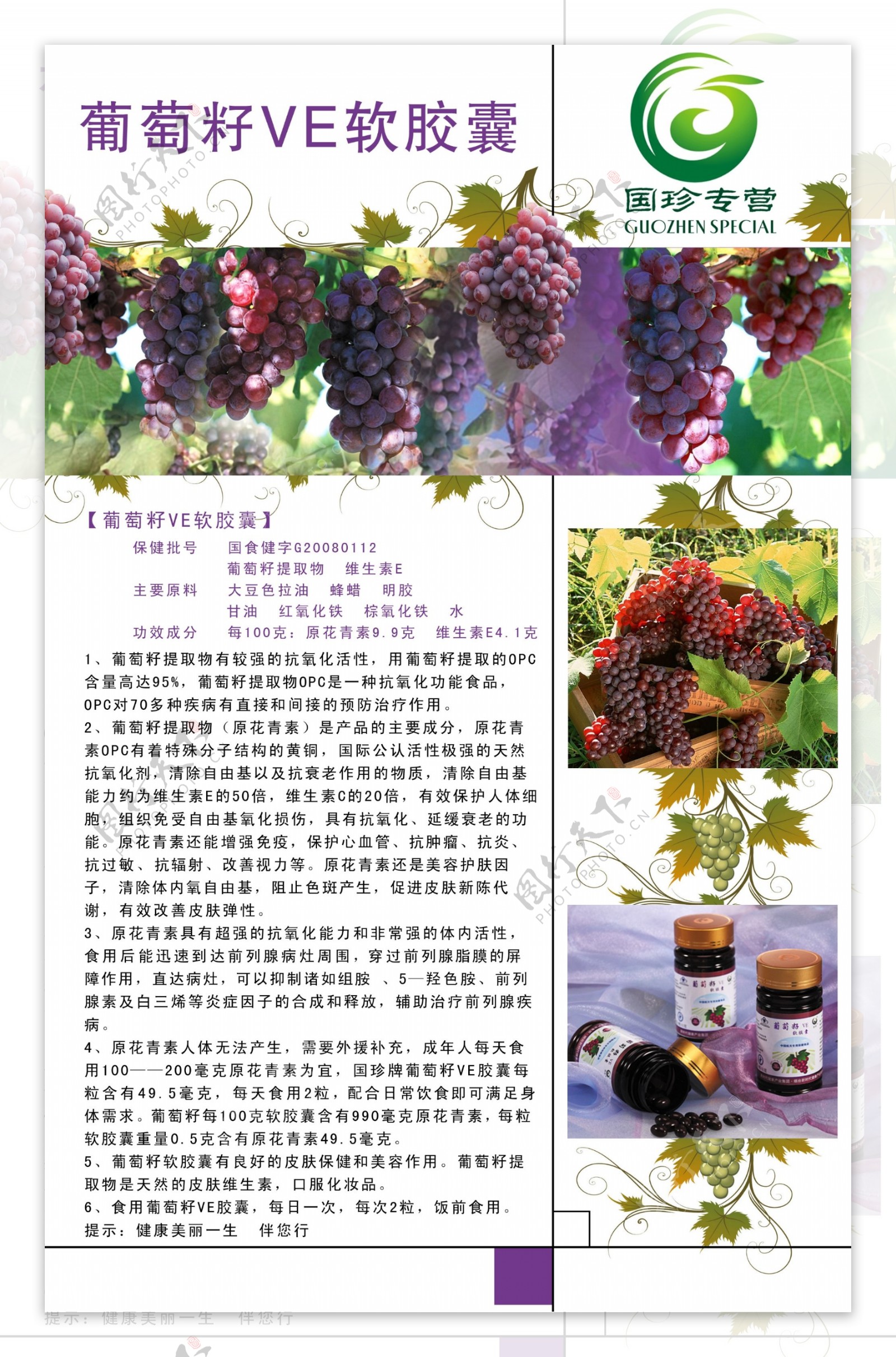 葡萄保健品单页图片