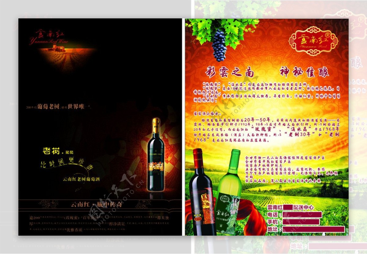 云南红葡萄酒图片