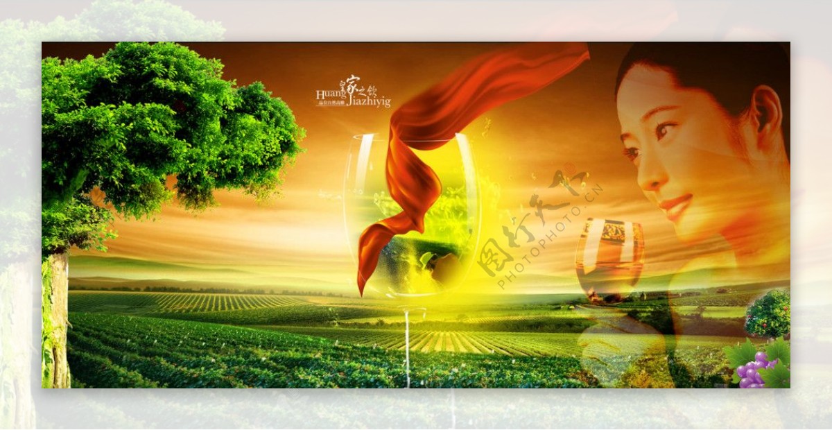 葡萄园葡萄酒广告图片