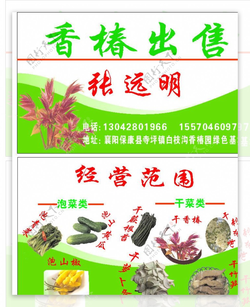 香椿出售名片图片