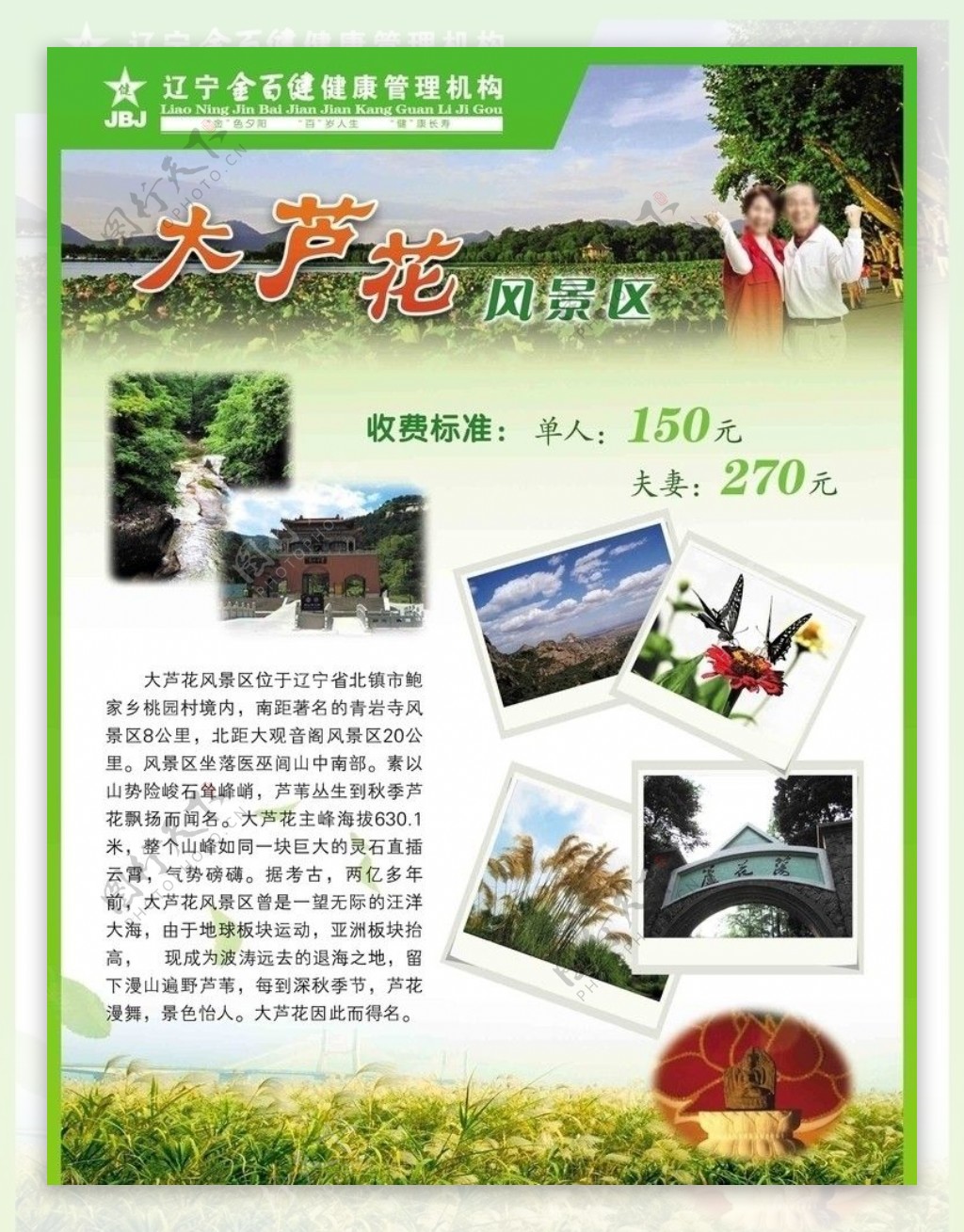大芦花景区旅游宣传单图片