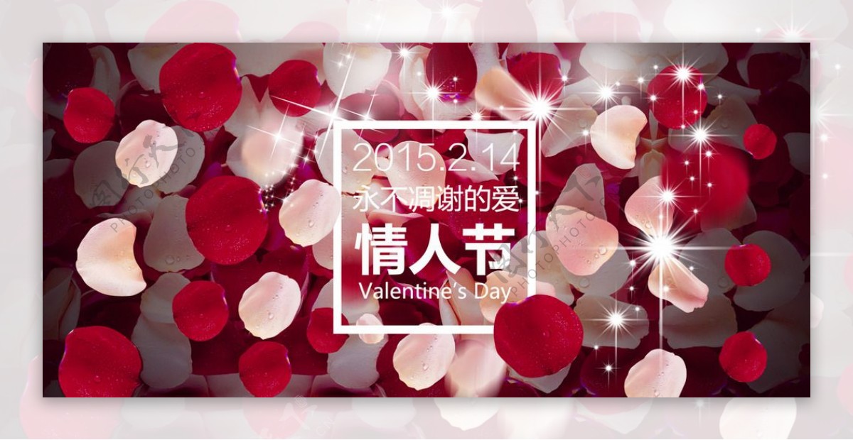 情人节玫瑰花花瓣素材海报图片