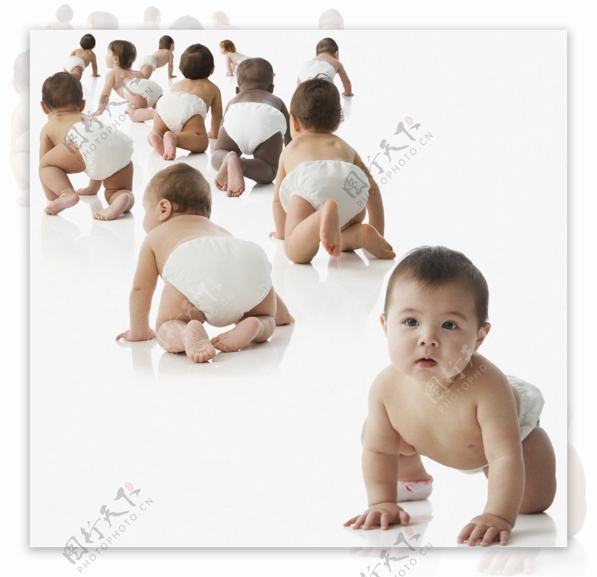 趴着的一群可爱婴儿宝宝图片