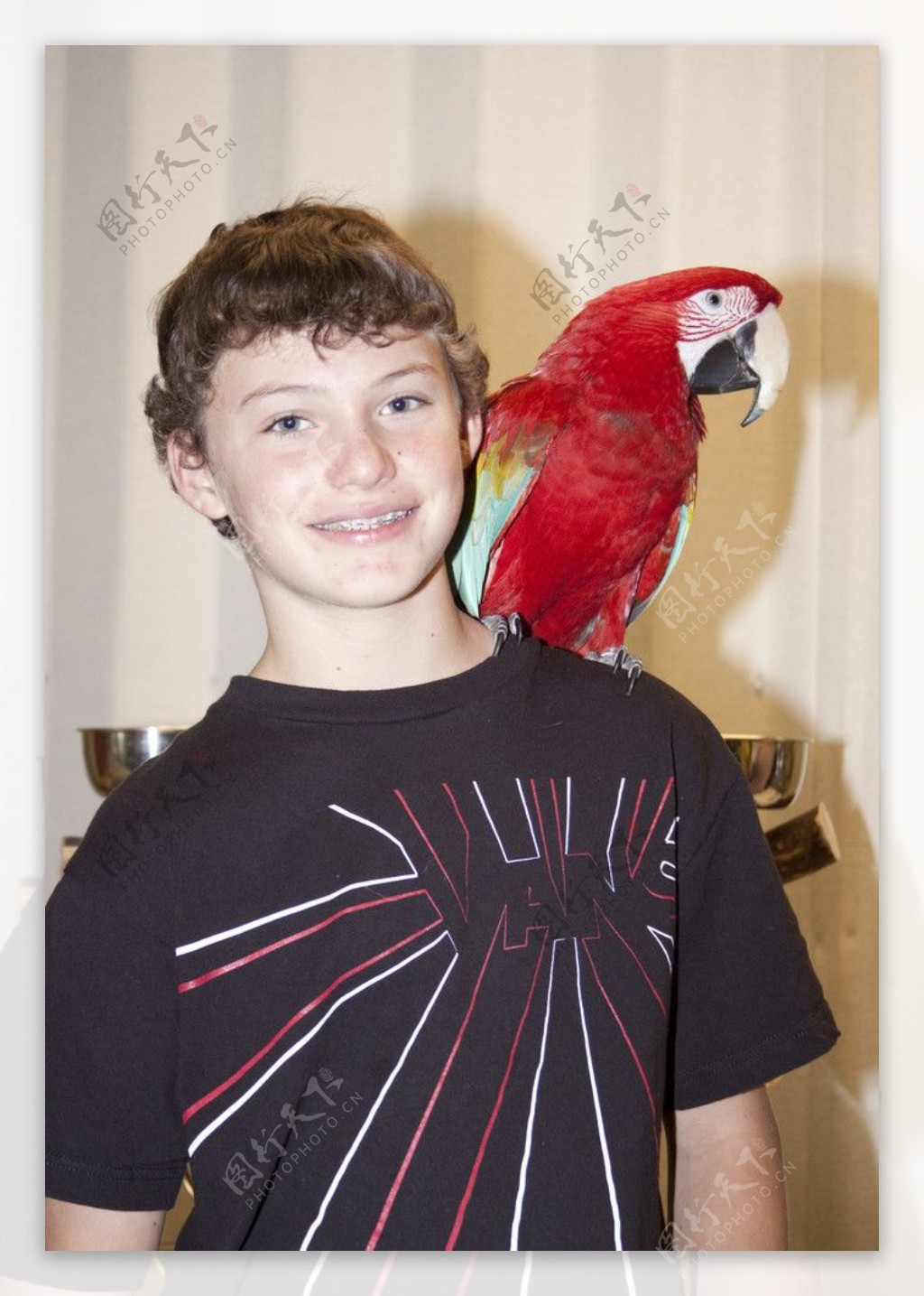 小男孩和他的鹦鹉宠物图片