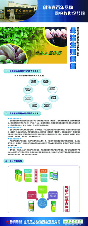 伟嘉集团饲料简介说明X展架1图片