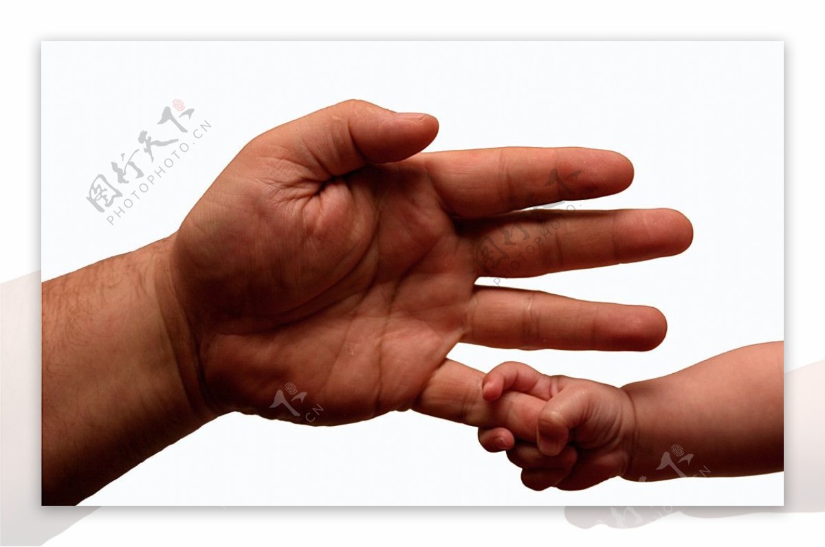 大人的手和婴儿的手图片
