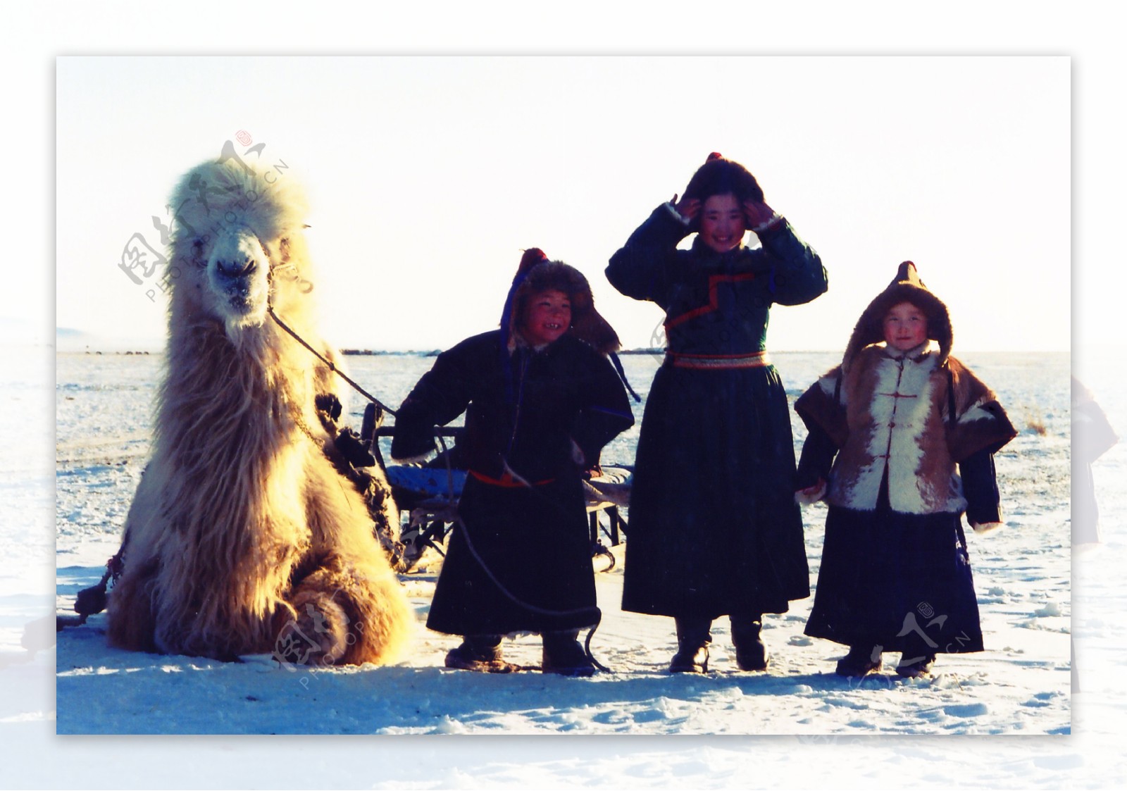 鄂温克儿童与骆驼图片