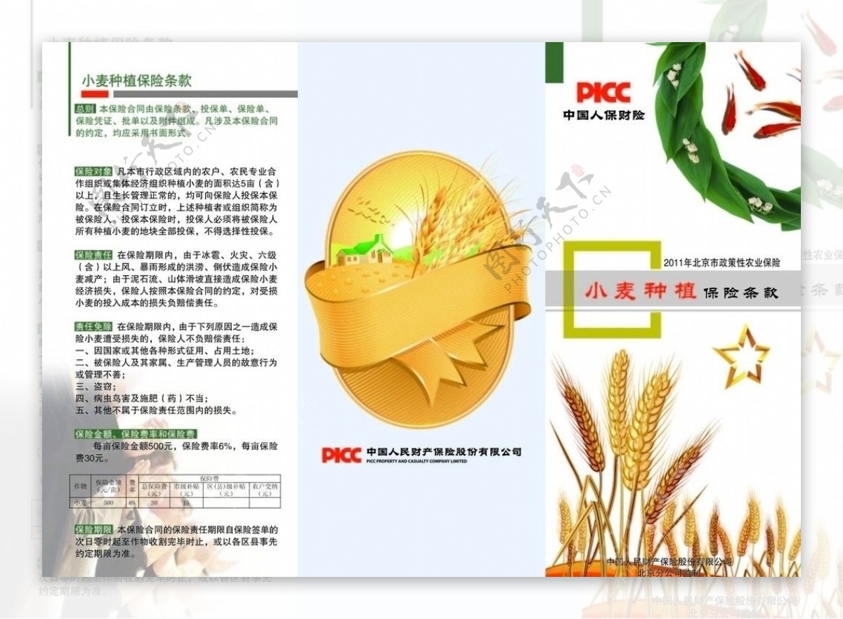 小麦农业保险彩页图片