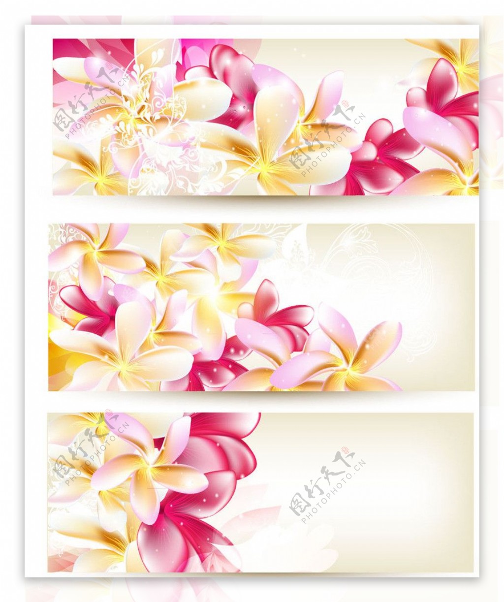 花卉花朵名片卡片图片