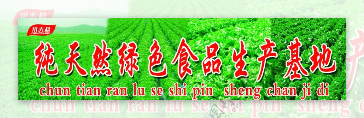 招牌绿叶纯天然生产基地食品菜英文标记蔬菜图片