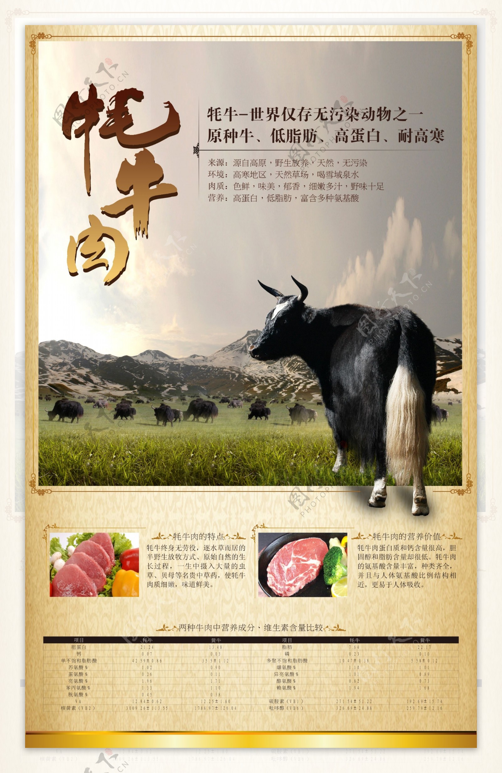 牦牛肉海报图片