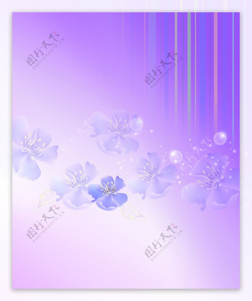 紫色情图片