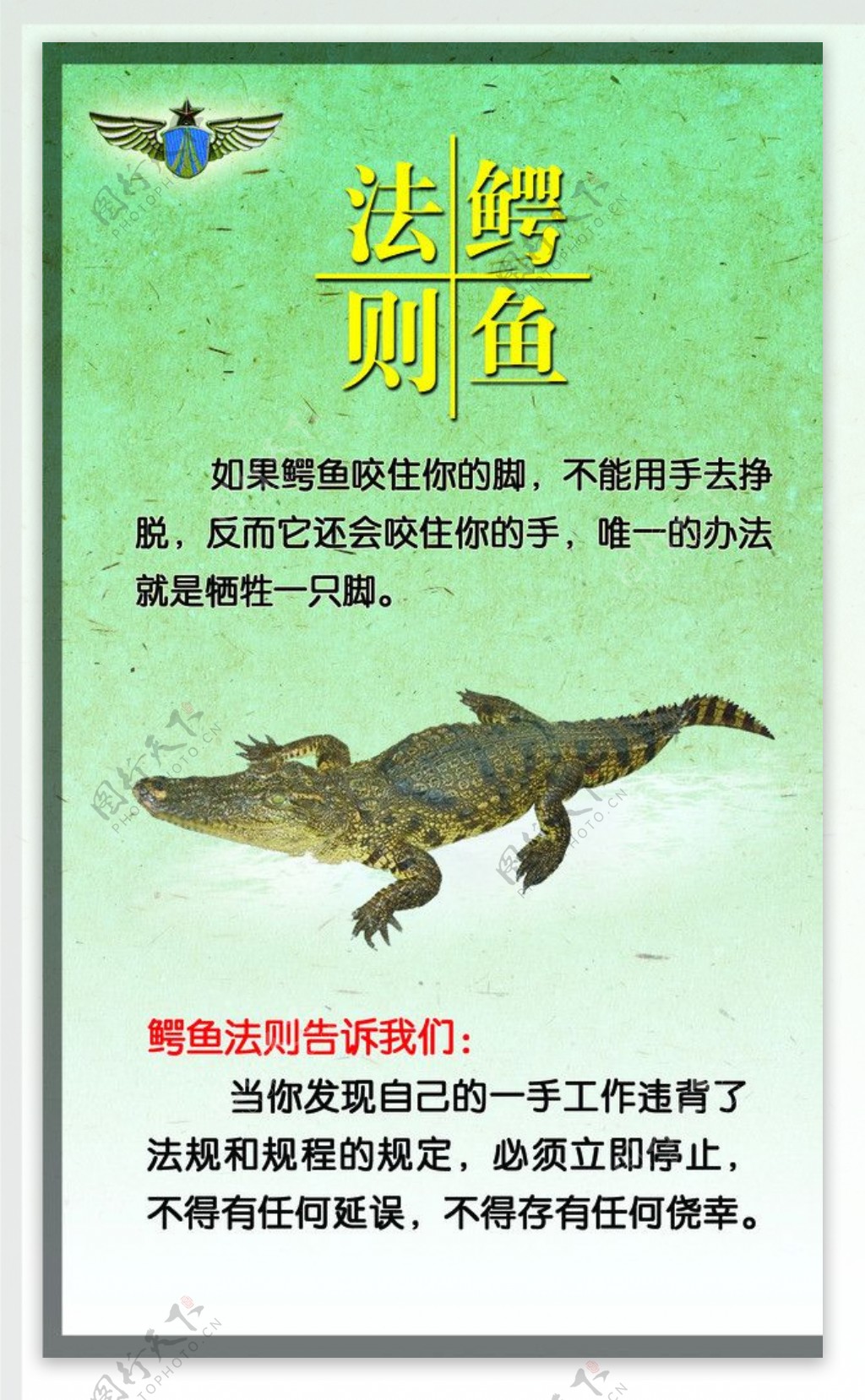 鳄鱼法则海报图片