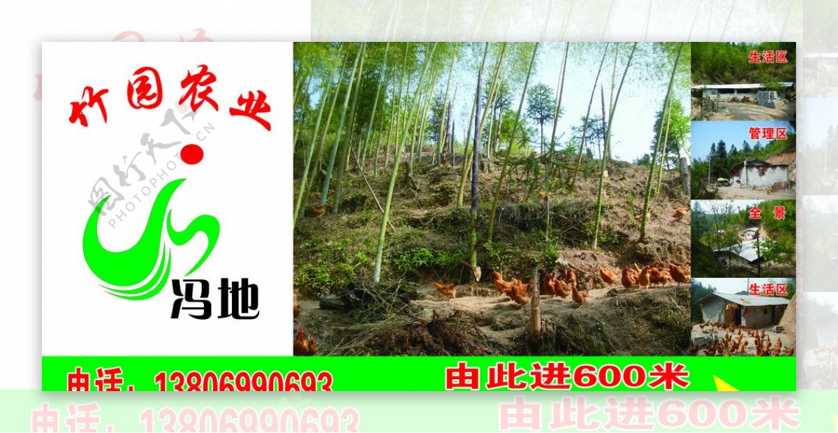 竹业农业图片