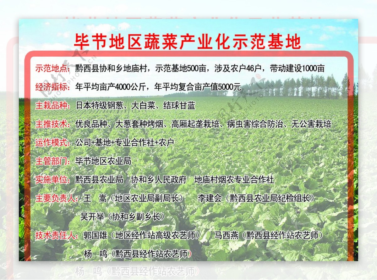 毕节地区蔬菜产业化示范基地图片