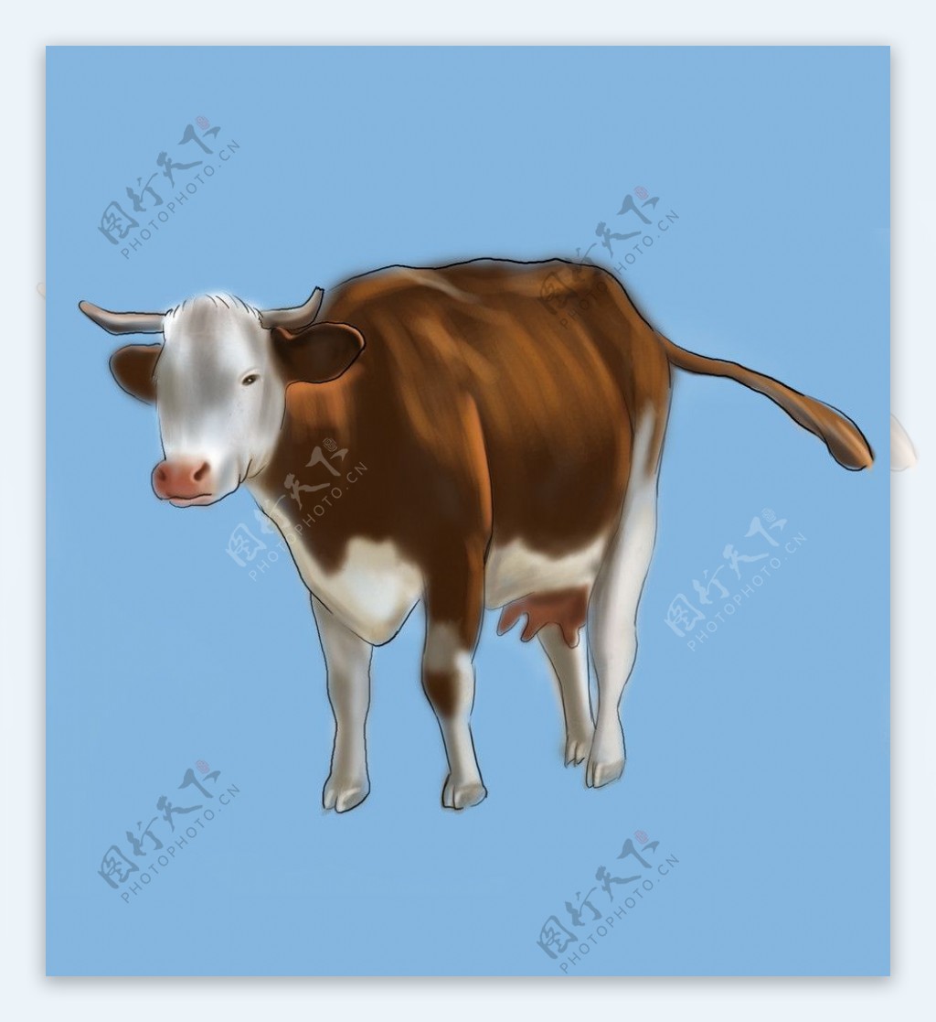 牛十二生肖图片