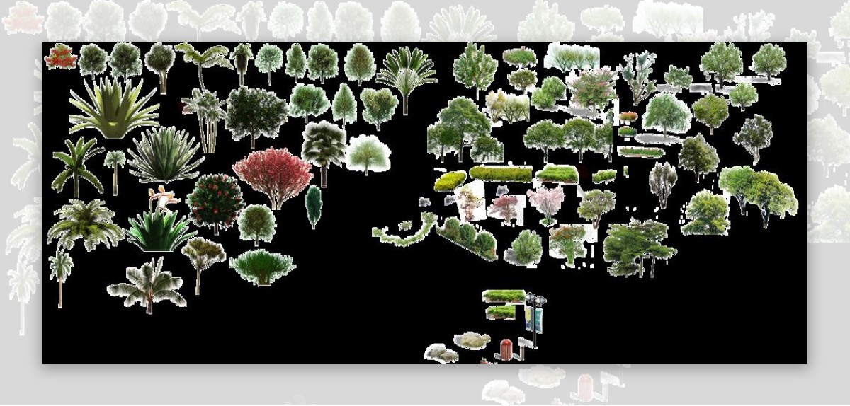 多种植物素材图片