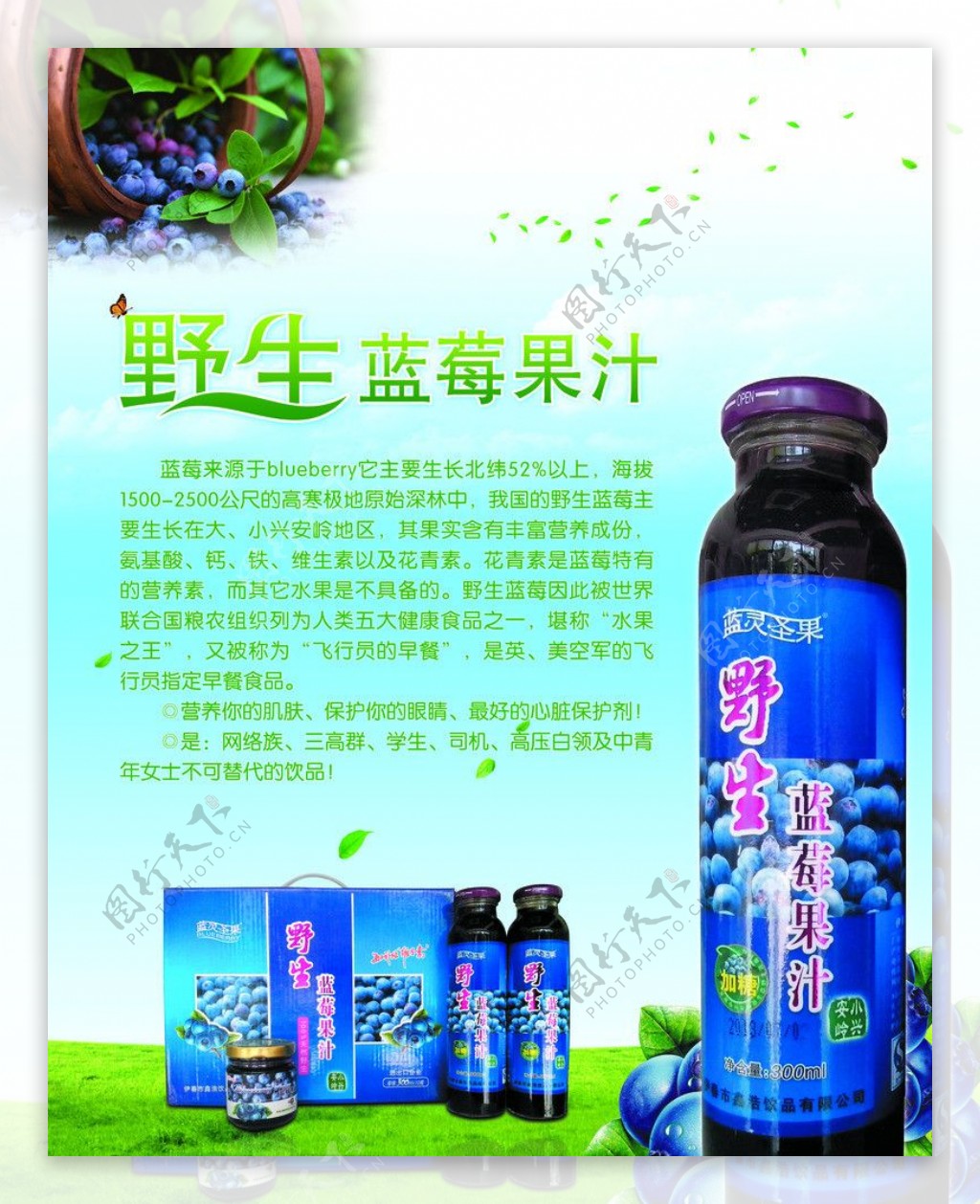 蓝莓汁海报图片