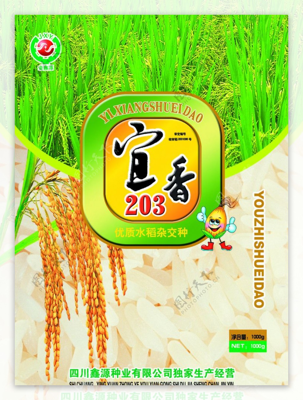 宜香203型优质水稻杂交种图片