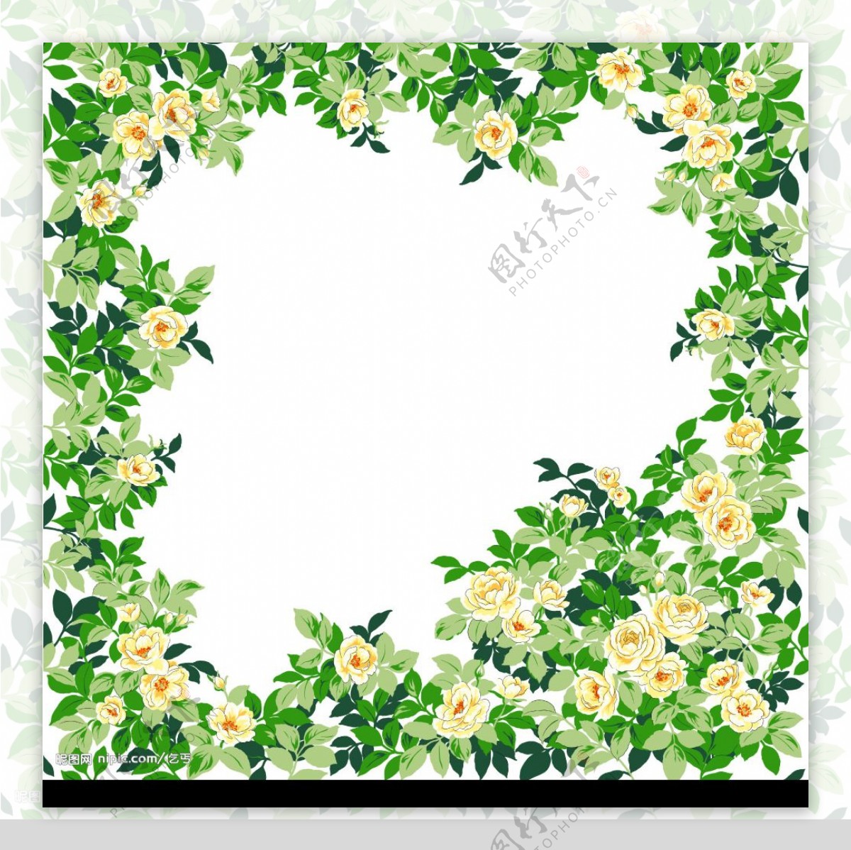 分层花卉边框图片