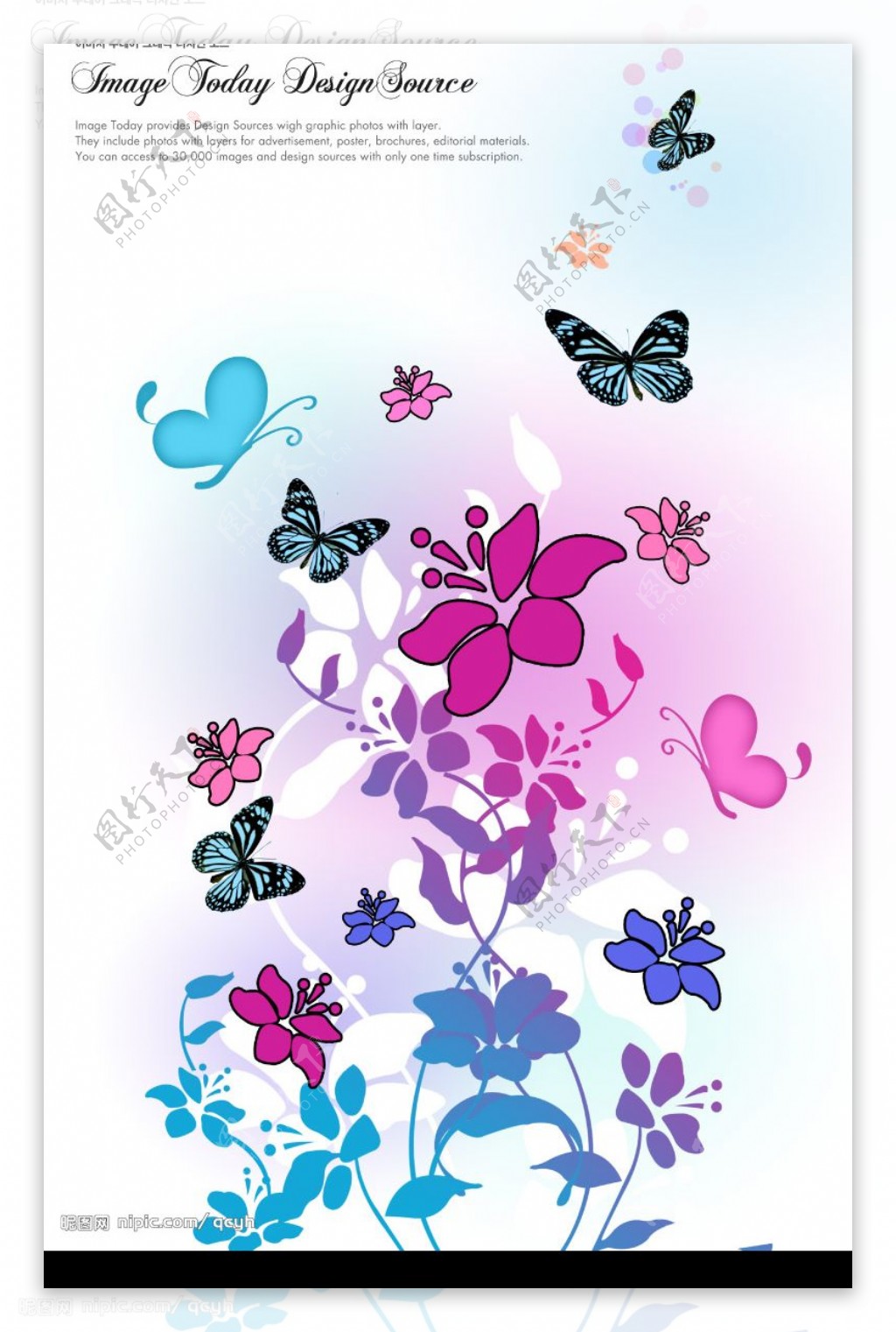 蝴蝶花丛图片