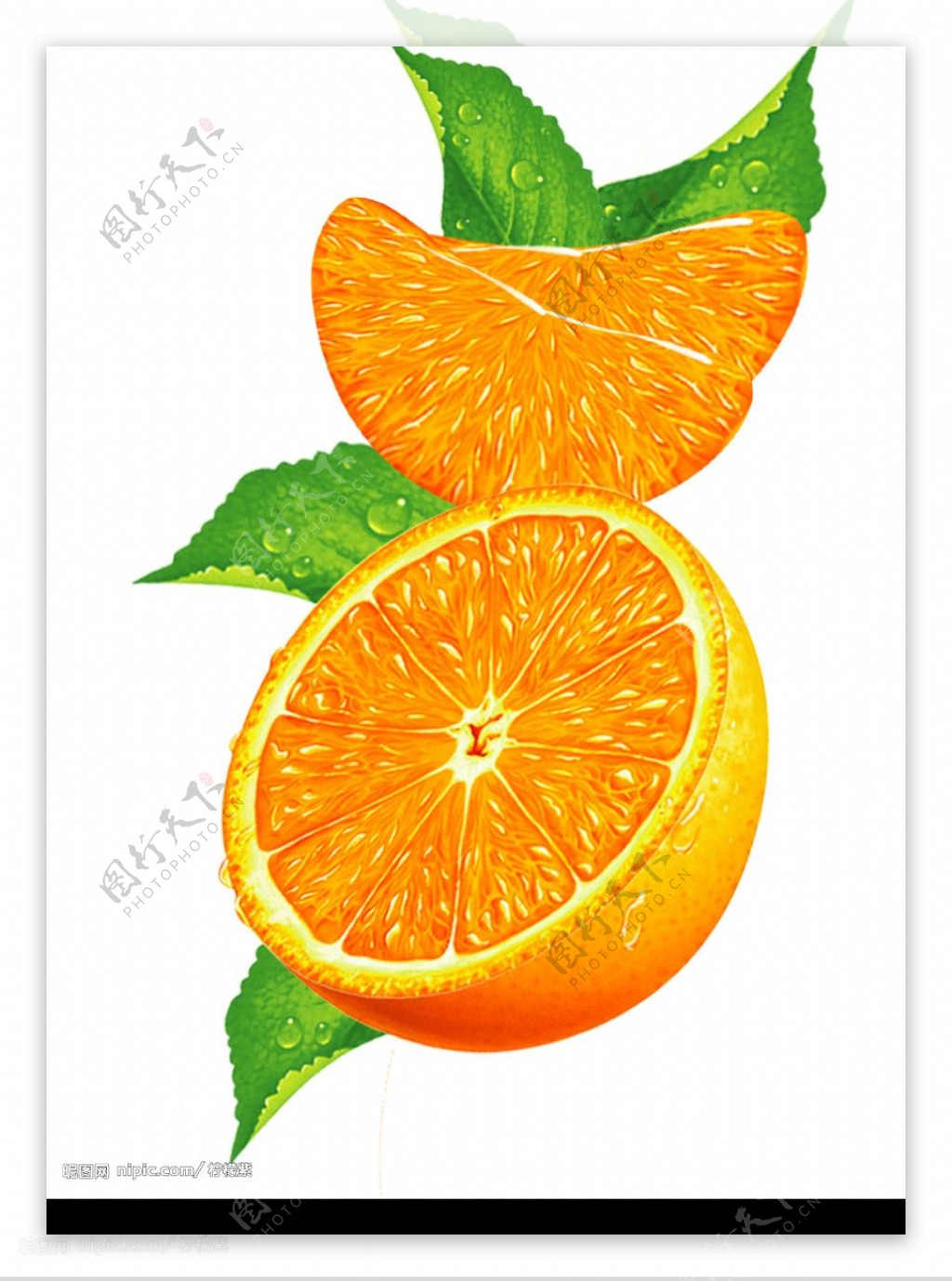 橙瓣图片