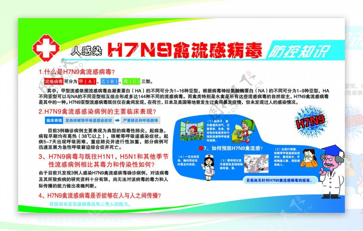 H7N9禽流感病毒图片