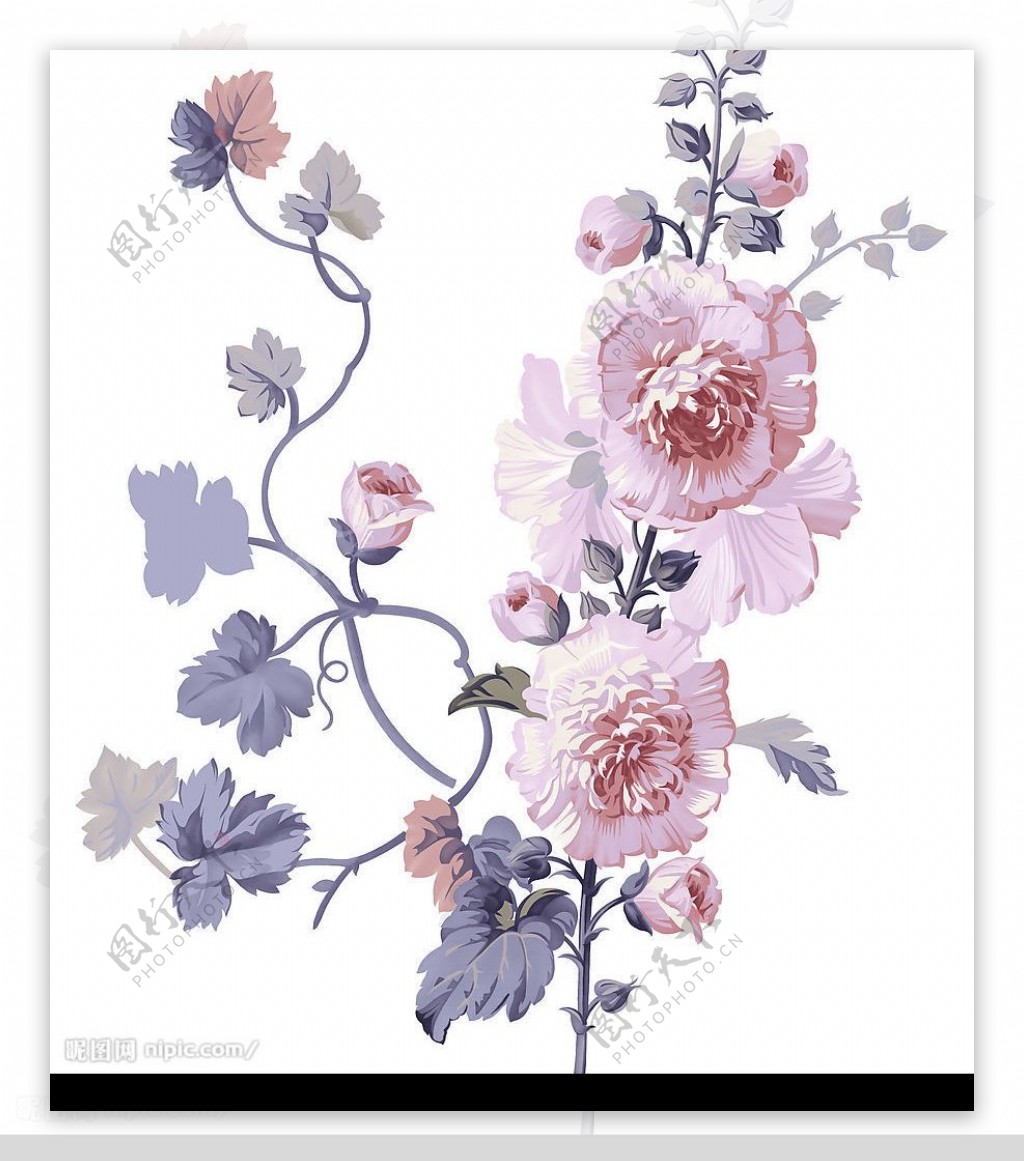 psd分层花朵紫色花卉图片