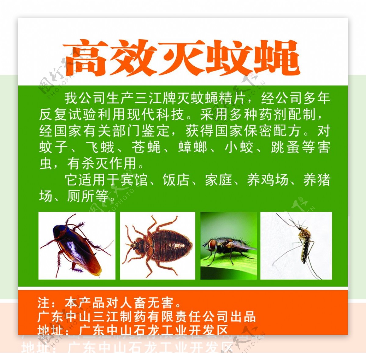高效灭蚊蝇海报图片