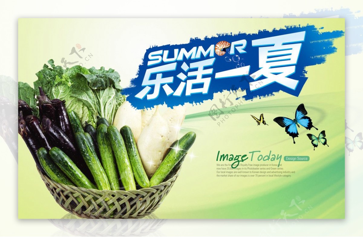 乐活一夏水果蔬菜图片
